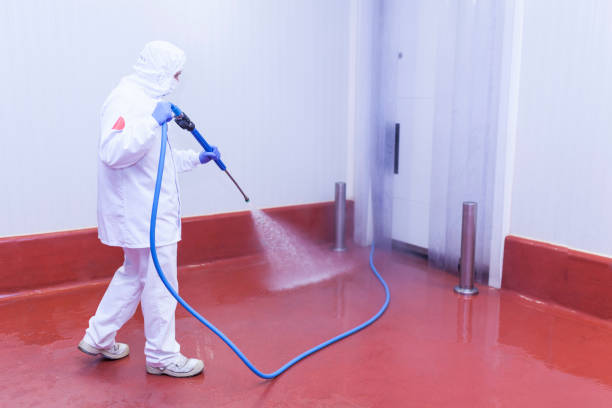 Boat and Dock Cleaning in Glen Cove, NY
